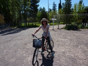 Mama bear on her bicycle