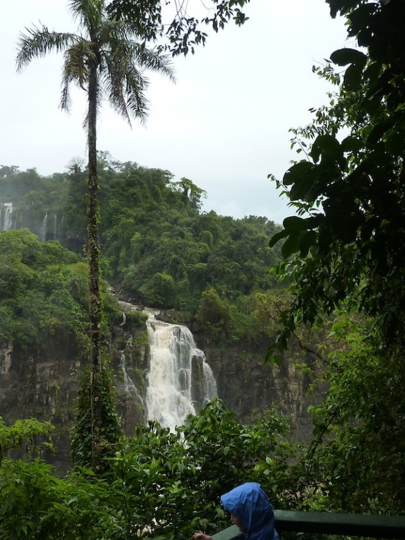 IguazuBrazil9